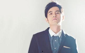 天才明星,明星的璀璨人生与辉煌事业