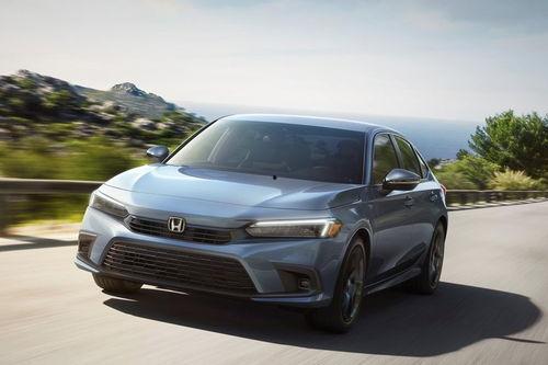 网红小卧龙图片及价格,萌态可掬，价格亲民的治愈系宠物