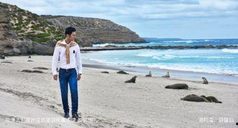 明星 海岸线,探寻明星与海洋的浪漫邂逅