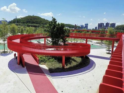 深圳网红公园大妈,活力社区的新风景线