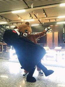 广场网红熊,广场上的明星宠儿