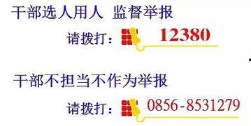 铜仁头条新闻,聚焦本土热点，解码铜仁发展新篇章