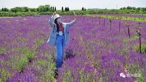 胶州爆料新闻,惊曝某企业违规操作，环保部门紧急介入调查