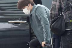 exo欧美明星粉丝,跨越国界的青春共鸣