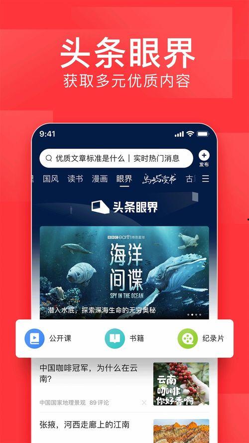 今日头条每日战况在哪看,热点资讯一览无余