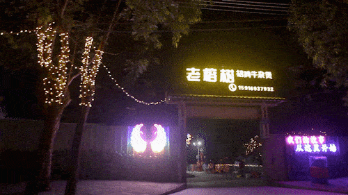 东莞望牛墩网红店,探寻美食新地标，打卡热门打卡点
